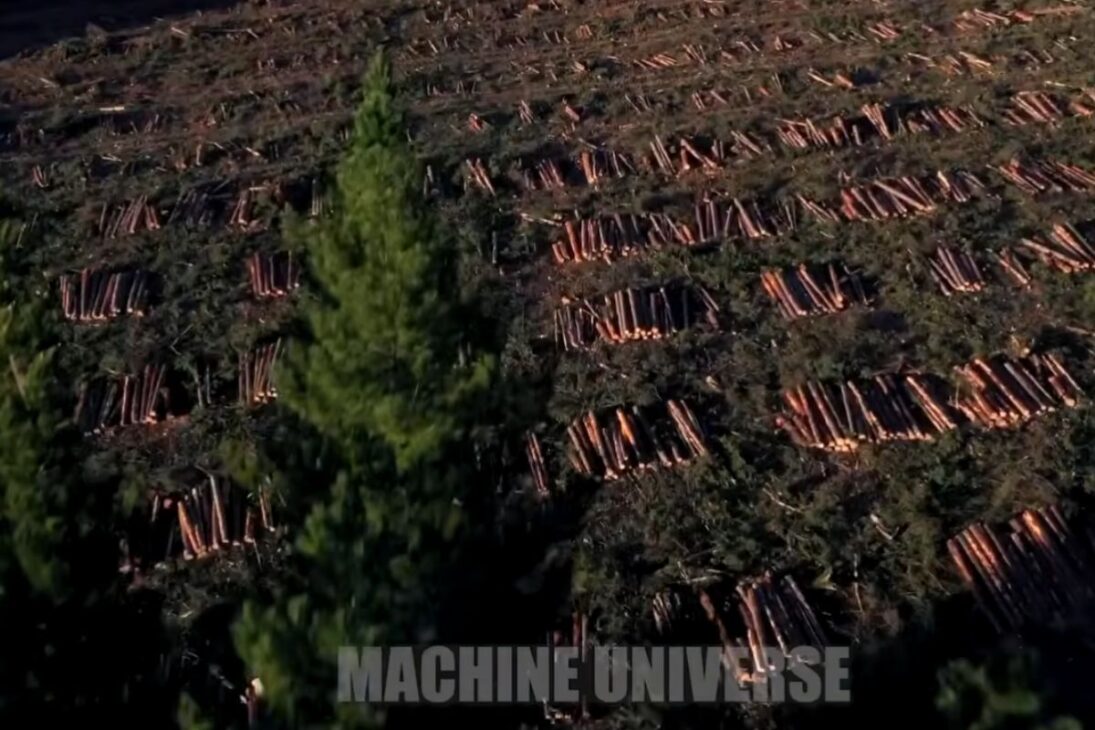 Serrería en escala industrial mostrando cómo troncos se convierten en madera con apoyo de IA, pasando por escáneres, hornos y clasificación, mientras paneles y otros derivados absorben residuos y mantienen rastreabilidad del patio hasta el envío final.