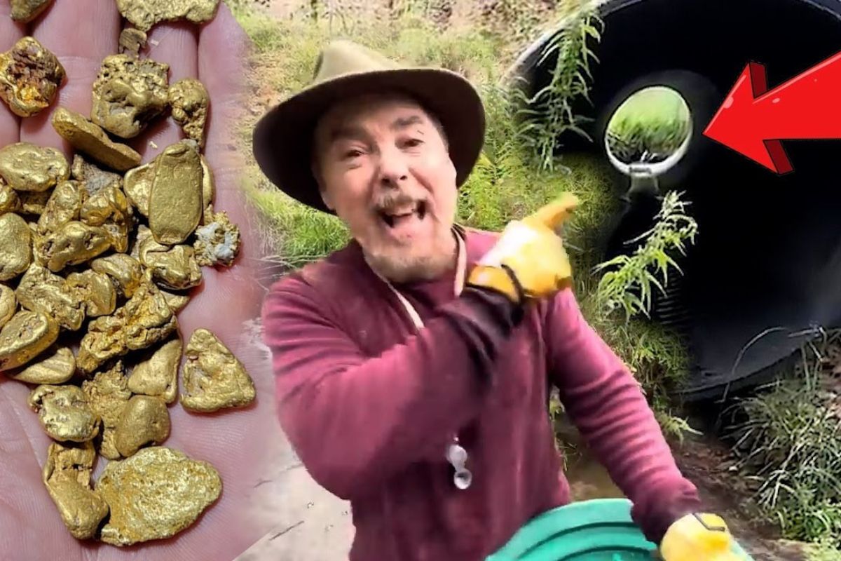 Entenda por que o ouro se repete em riachos quando curvas, rocha matriz e areia preta revelam armadilhas naturais que concentram o peso e reorganizam o cascalho.