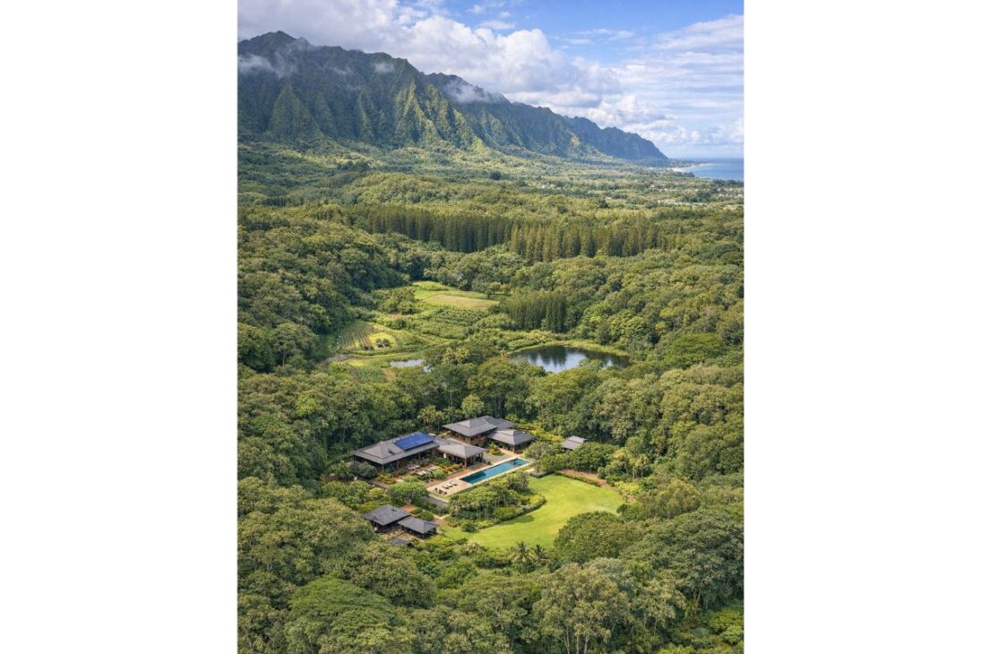 bosque de 180 hectáreas de Mark Zuckerberg en Koʻolau Ranch funciona como cinturón verde para rendimiento cognitivo en decisiones difíciles.