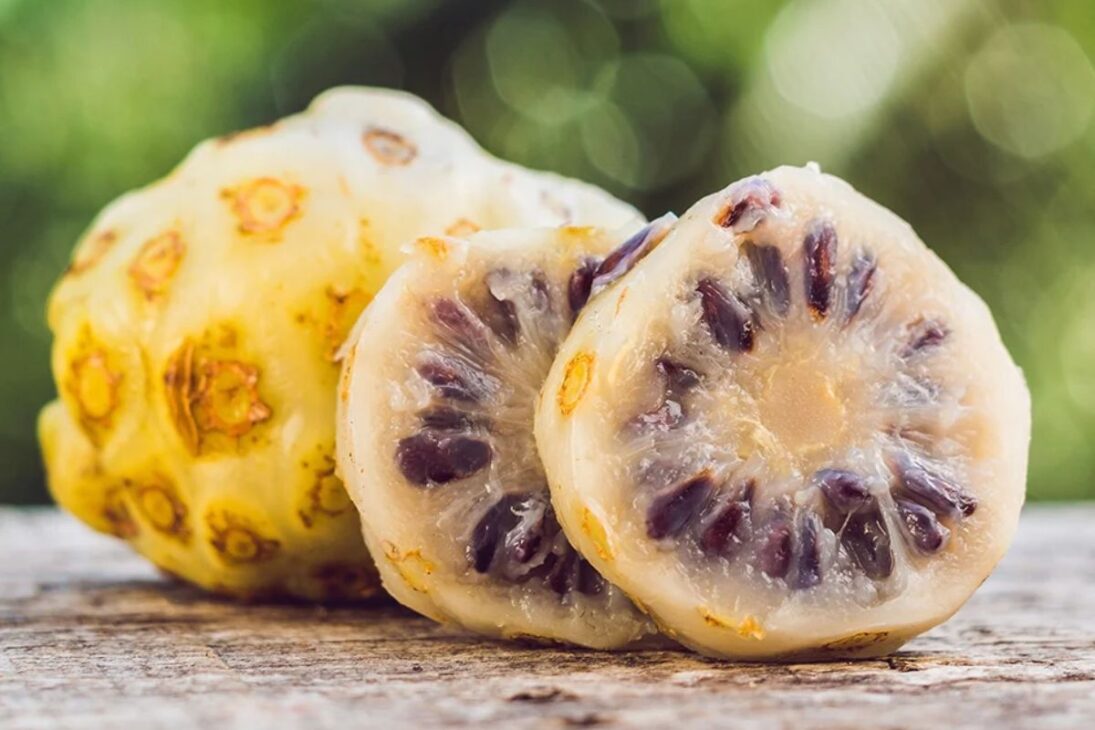 En el jardín, plantas populares, plantas tóxicas, plantas venenosas en el jardín, plantas prohibidas y plantas ornamentales peligrosas pueden pasar desapercibidas.