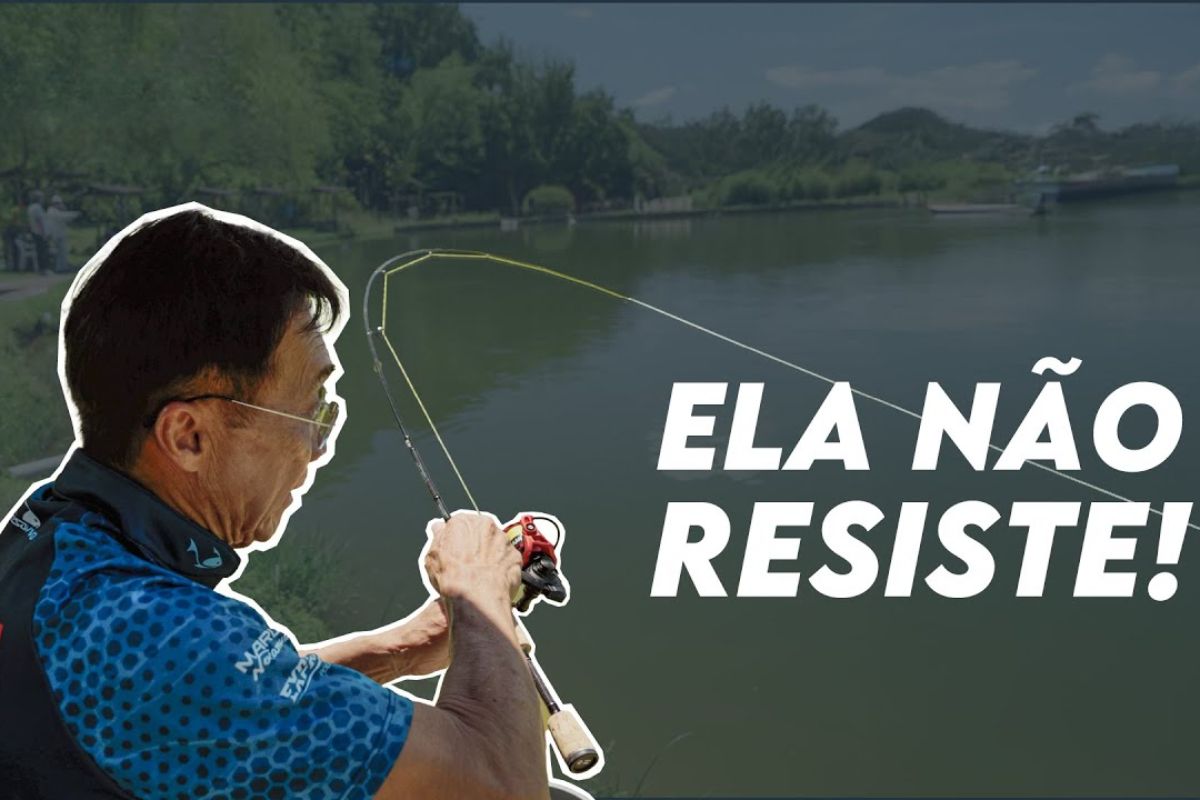 Aprenda a pescar tilápia com molinete ajustando linha, chumbo e arremesso em pesque-pague, entendendo como a tilápia reage ao chumbo e à pressão e aumentando as fisgadas sem perder a esportividade na pescaria de tilápia com molinete.