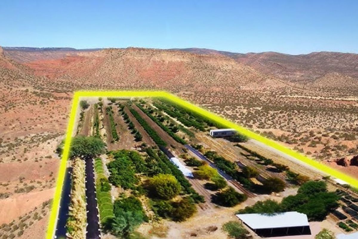 No deserto do Arizona, água e solo foram reorganizados para gerar biodiversidade com agroecologia, mostrando em 2026 como captação de umidade, desenho hídrico e regeneração do solo podem sustentar alimentos locais em clima extremo com resultados duradouros.
