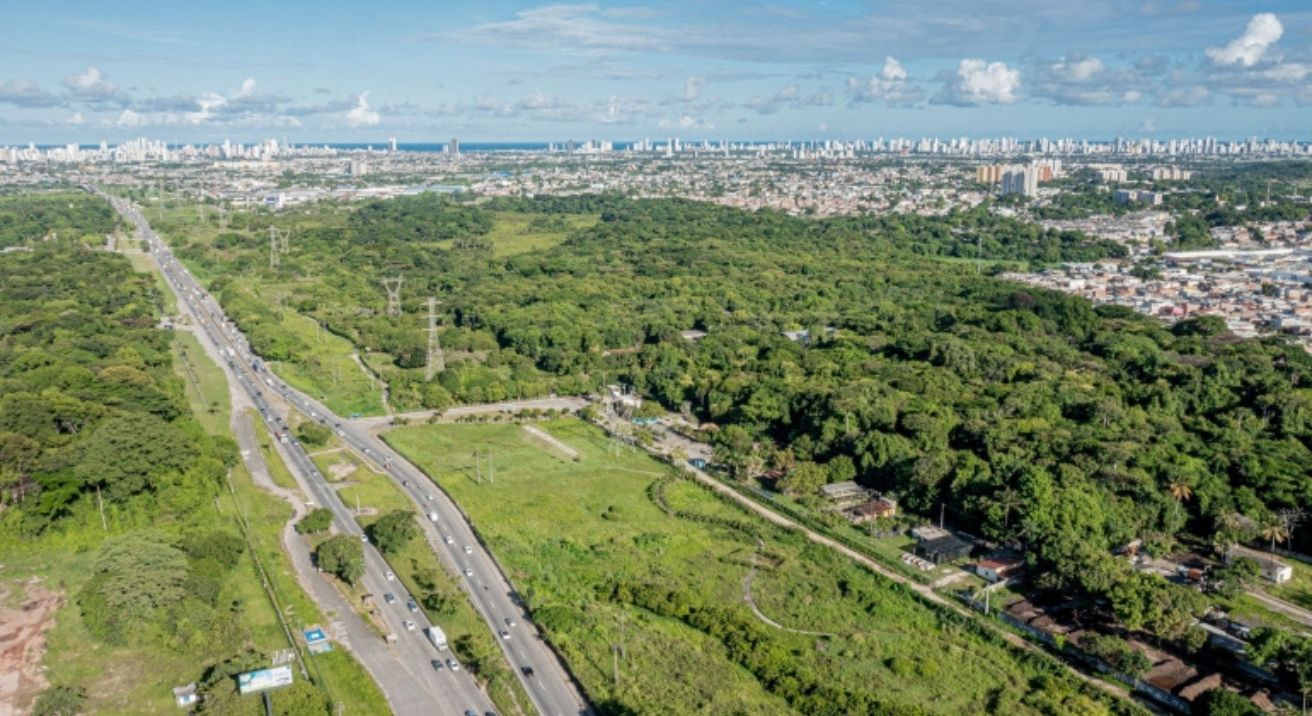 Recife conquista selo ONU Cidade Árvore do Mundo com 60 metros quadrados de área verde por habitante e redução de 3°C na temperatura: capital pernambucana supera 5 vezes recomendação da OMS plantando 259.565 árvores