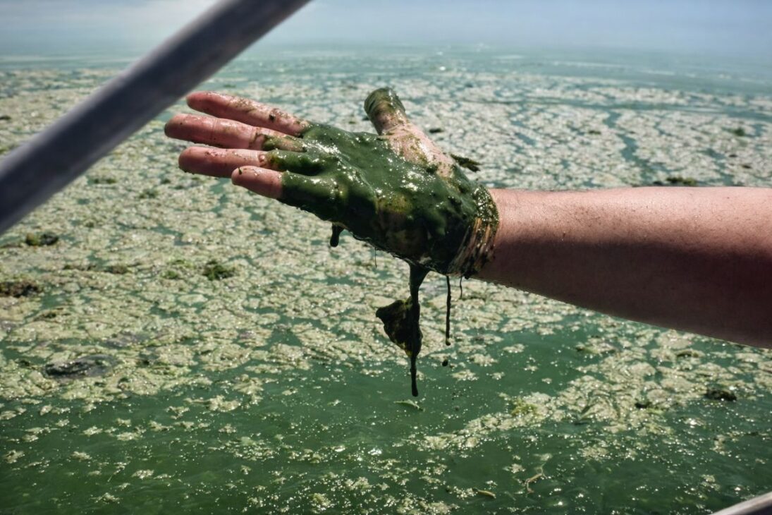 En el Río Tietê, la eutrofización avanza, peces aparecen muertos, el turismo en el Río Tietê se desploma y las usinas de caña de azúcar entran en el centro de la crisis.