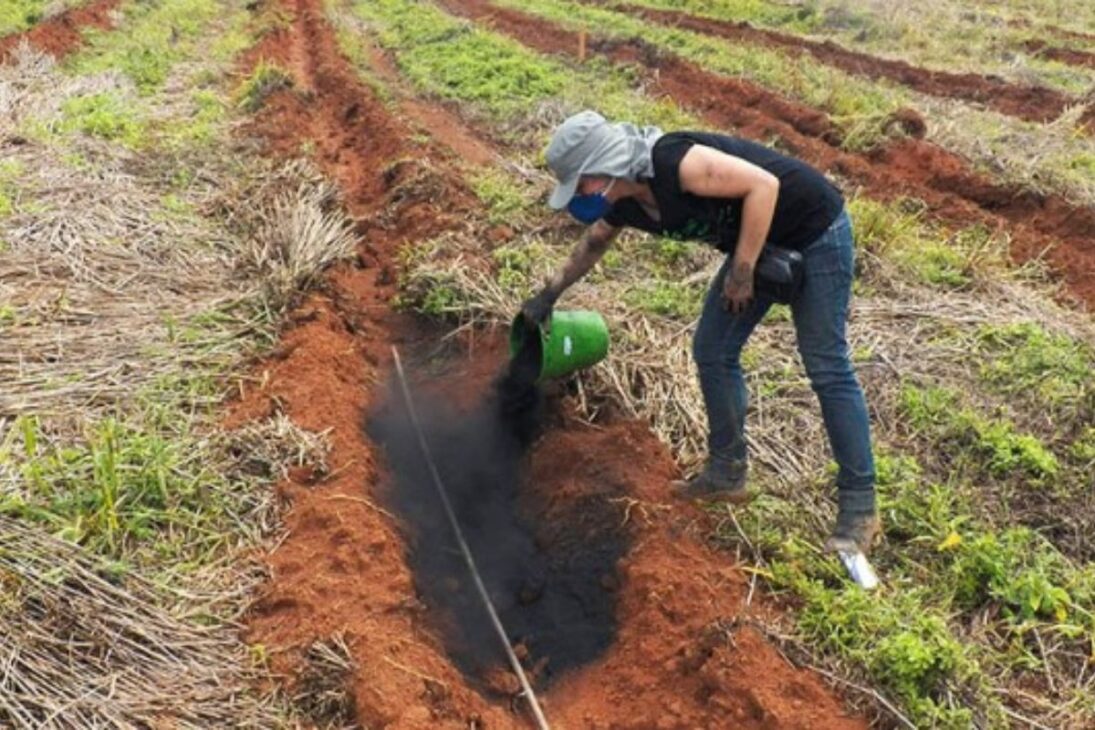 El carbón vegetal en el suelo cambia la huerta: los microorganismos encuentran refugio, los nutrientes están más disponibles, el agua dura más y el parterre se estabiliza por más tiempo con rutinas simples y observación constante.