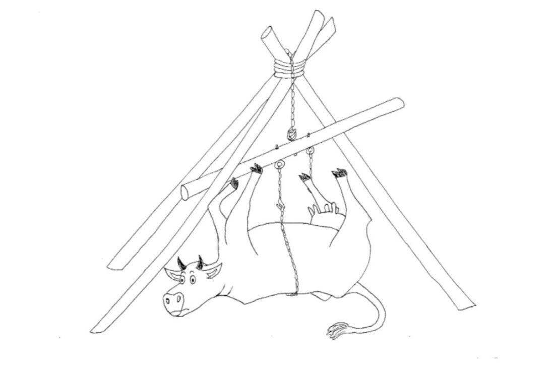El productor explica cómo levantar un tronco de 227 kilos con biela y cadenas, aplicando ventaja mecánica en ciclos controlados para ganar estabilidad y eficiencia en el campo, sin poleas, sin máquinas y sin motores.