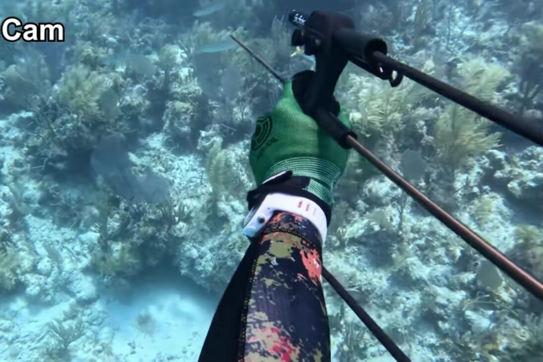 Sete dias caçando comida com arpão mostram mergulho em recifes cheios de tubarões, captura de lagosta e desafios de mergulho em apneia para transformar cada peixe em refeição consciente.