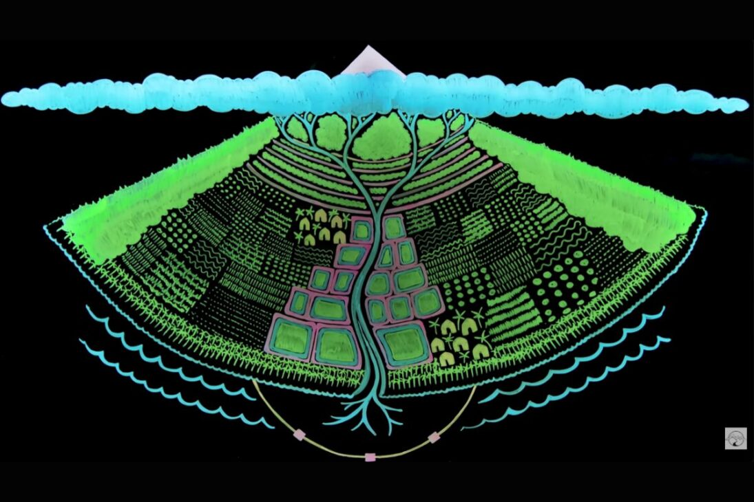 selva invasora revela en Hawái un sistema de agua por gravedad que sustenta taro en terrazas, recupera lagunas de peces y reaviva el debate sobre autonomía alimentaria en islas dependientes de importación