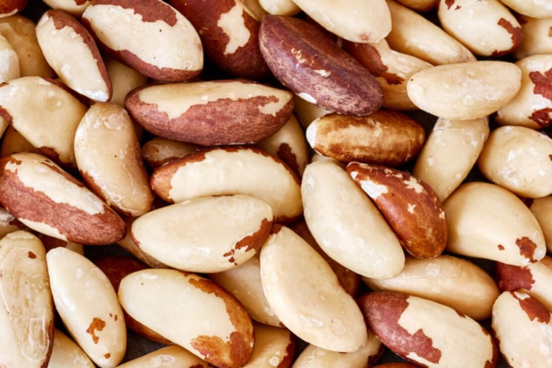 La exportación de castaña de Brasil abre el mercado turco, fortalece las comunidades extrativistas y ayuda a mantener el bosque en pie con castaña de Brasil.