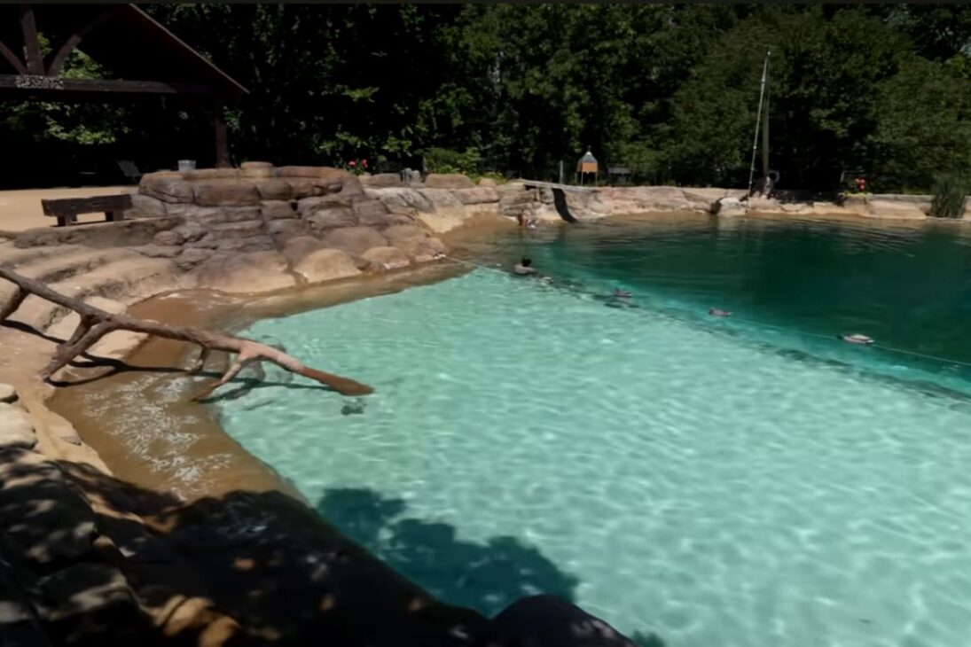 Conozca la piscina absurda de 500 mil galones de 1,9 millón de litros, con cascada, columpio de cuerda y sistema de filtración creado en el patio después de 29 años de obra y mantenimiento.