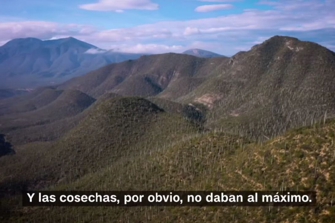 programa Agua para Siempre en la Mixteca Popoloca explica cómo muros y gaviones crean terrazas esponja, recargan acuíferos y llegan al Museo del Agua como método para cosecha y biodiversidad en el semiárido.