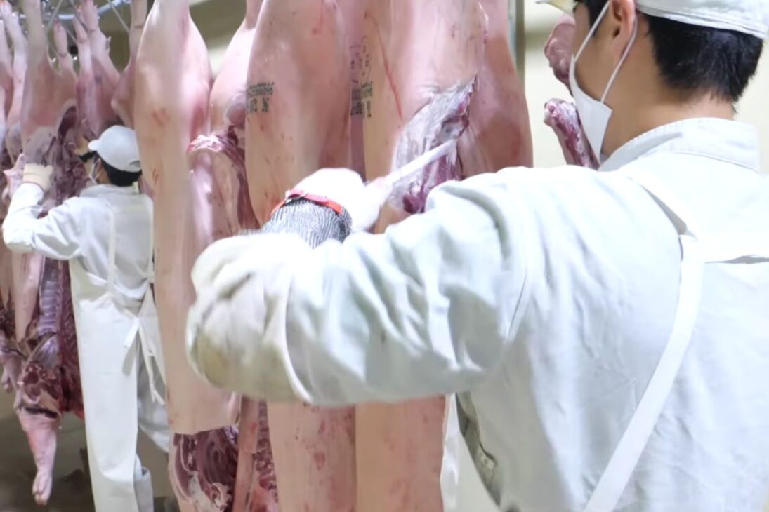 En la fábrica coreana, 2.000 cerdos por mes se convierten en cortes con embalaje al vacío, pasan por detector de metales y verificación doble antes del envío.