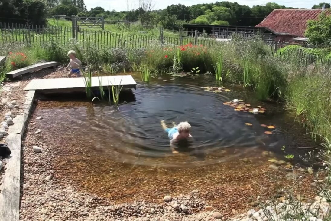 Una Pequeña Piscina Natural Cavada A Mano Muestra Cómo Agua, Plantas Y Vida Silvestre Pueden Mantener El Lago Estable Sin Productos Químicos, Creando Un Refugio Ecológico Donde Se Nada Con Niños En Plena Integración Con La Naturaleza.