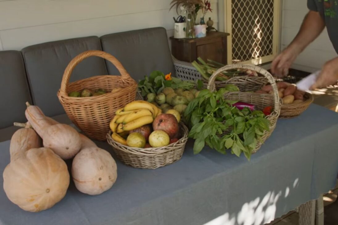 Transformación de una granja de permacultura en 4.000 m² en Australia, con microagricultura, horticultura comercial, cursos y comunidad como base para producción, ingreso y rutina que impacta la salud de la familia.
