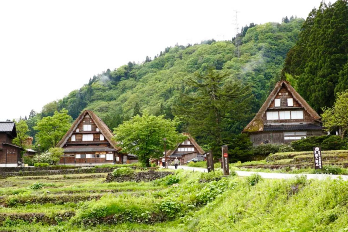 Vila japonesa Gokayama preserva casas de 300 anos, telhados gassho-zukuri e tradições intactas sob nevascas intensas em região reconhecida pela UNESCO