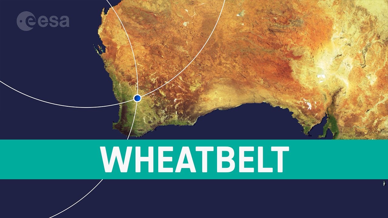 A região agrícola que produz mais trigo do que países inteiros: no Wheatbelt da Austrália, milhões de hectares mecanizados colhem dezenas de milhões de toneladas por ano e transformam o país em uma potência global de grãos