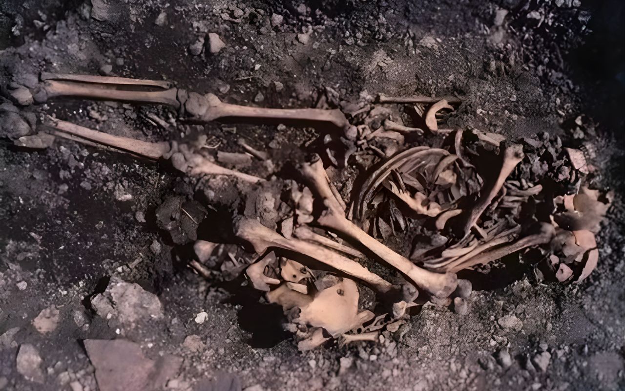 Pesquisa genética em sítio arqueológico de Ajvide, na Suécia, revela adolescente enterrada com ossos do pai e mostra que sepultamentos reuniram parentes distantes.