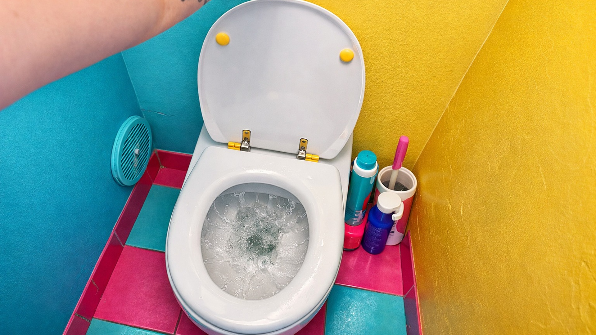 Sistema francês recicla águas cinzas e permite reduzir em até 40% o consumo de água doméstica em residências.