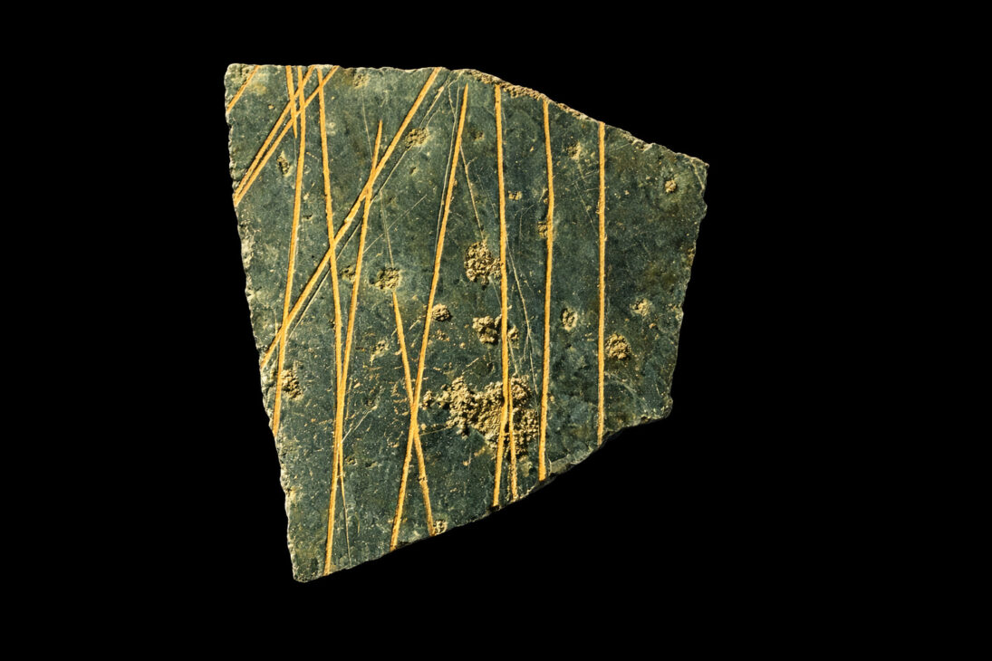 cáscara de huevo de avestruz