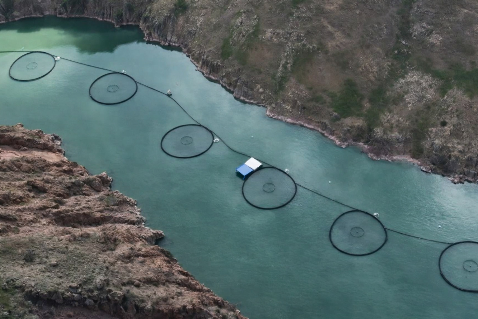 Lagoas artificiais no Deserto de Taklamakan usadas para criação de peixes