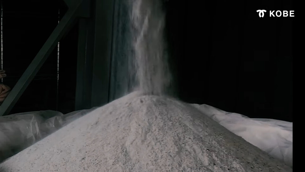 ¿Qué sucede con escamas y espinas de pescado en Japón? Parte de lo que sería basura está convirtiéndose en colágeno y fertilizante en un proceso silencioso de reaprovechamiento