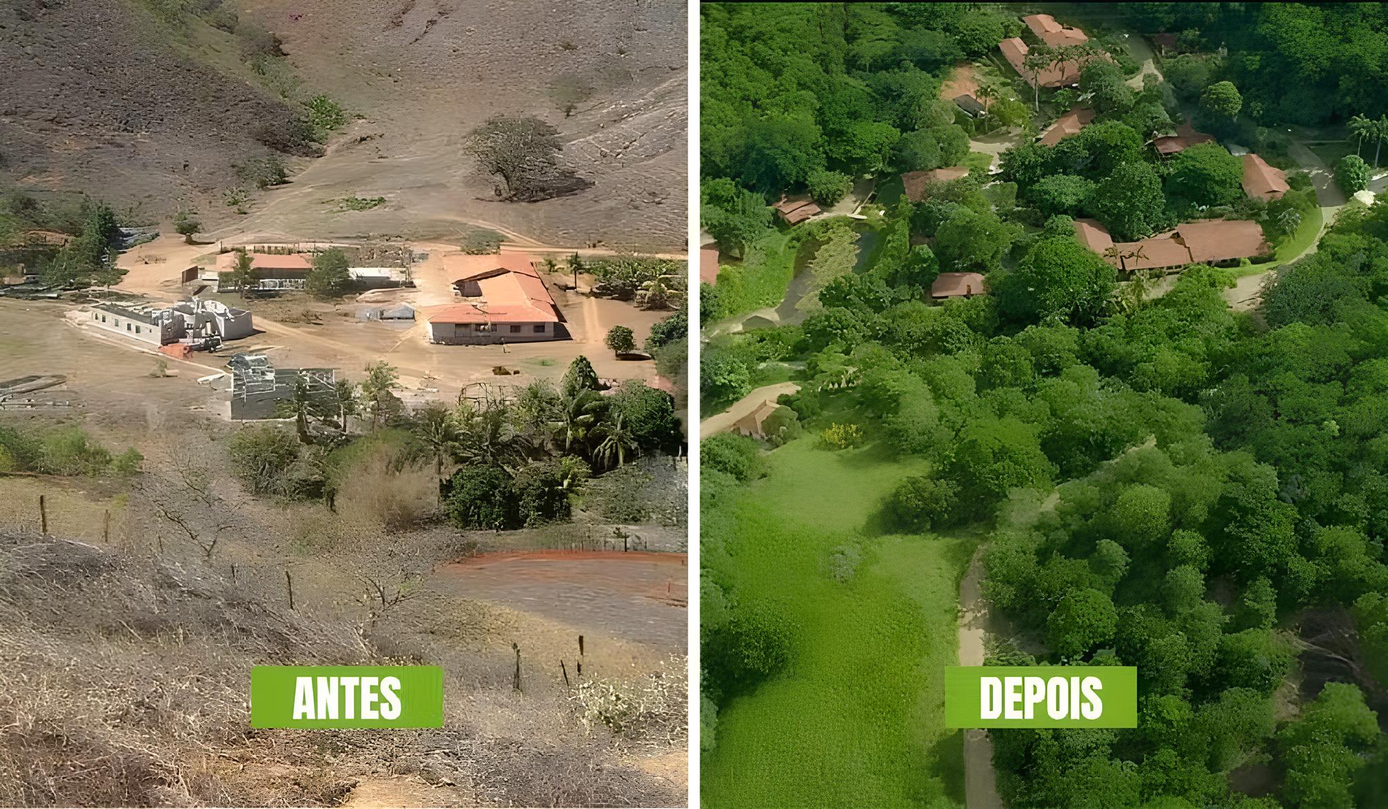 Chamado de sonhador por tentar reflorestar terra arrasada, ele ignorou o ceticismo e, em mais de 20 anos, plantou mais de 3 milhões de árvores e transformou fazenda degradada em milhares de hectares de Mata Atlântica com nascentes recuperadas e animais voltando onde quase nada restava
