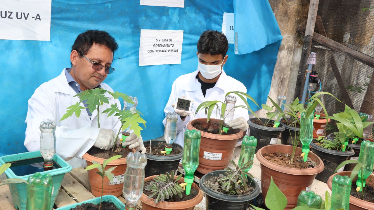 Investigación en Maranhão identifica bacteria capaz de reducir el uso de agroquímicos, disminuir costos y fortalecer la agricultura familiar en regiones presionadas por el agronegocio.