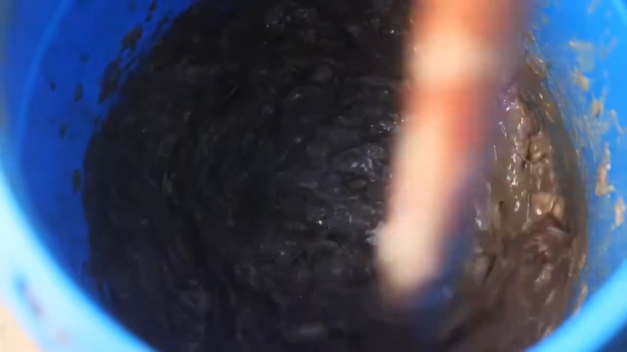 ¿Qué sucede con escamas y espinas de pescado en Japón? Parte de lo que sería basura está convirtiéndose en colágeno y fertilizante en un proceso silencioso de reaprovechamiento