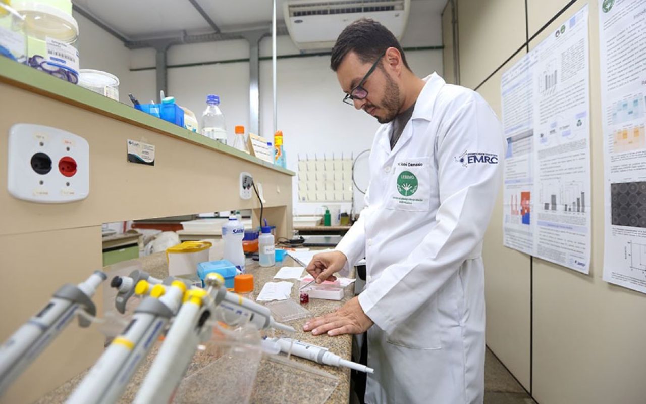 A proteína feita de fungos que imita carne deve superar US$ 32 bilhões até 2032. Micoproteínas ganham espaço como alternativa sustentável às proteínas animais.