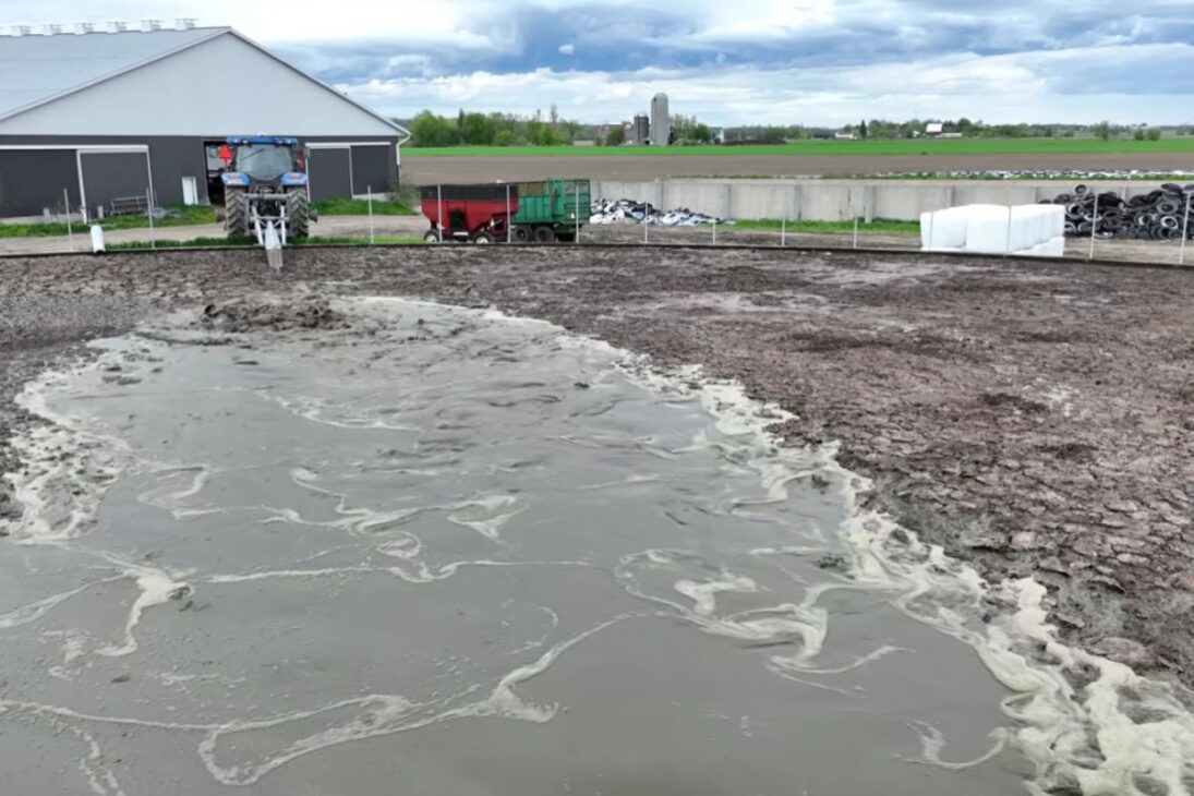 Operación en el sur de Canadá utiliza estiércol con control: laguna al límite, bomba de alta potencia, manguera por kilómetros y tractores de más de 300 caballos para evitar desbordamiento y aplicar con seguridad en los campos.