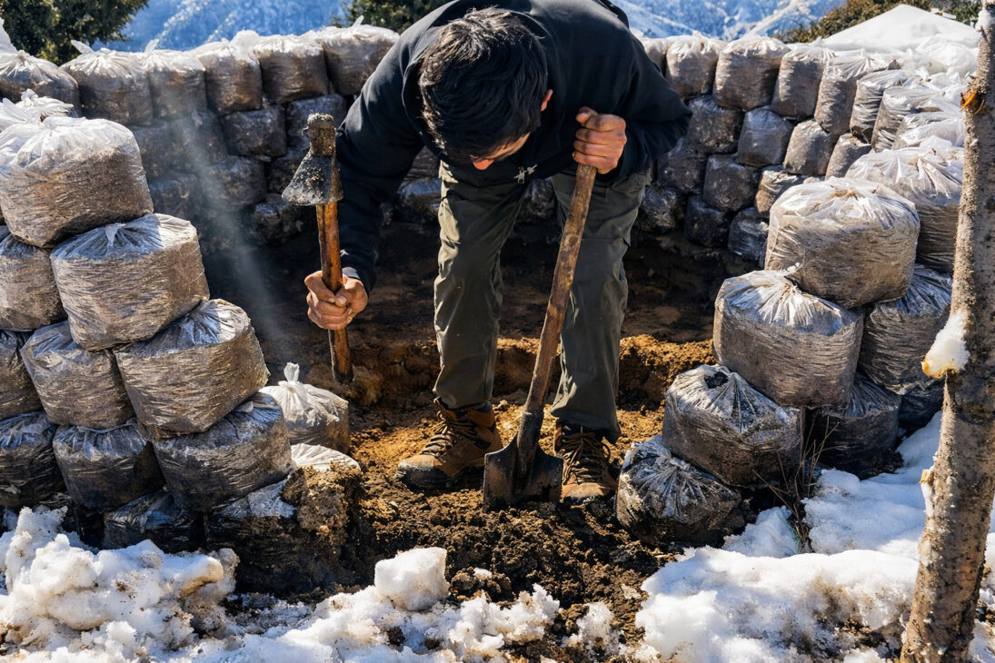 sacolas de plástico com terra