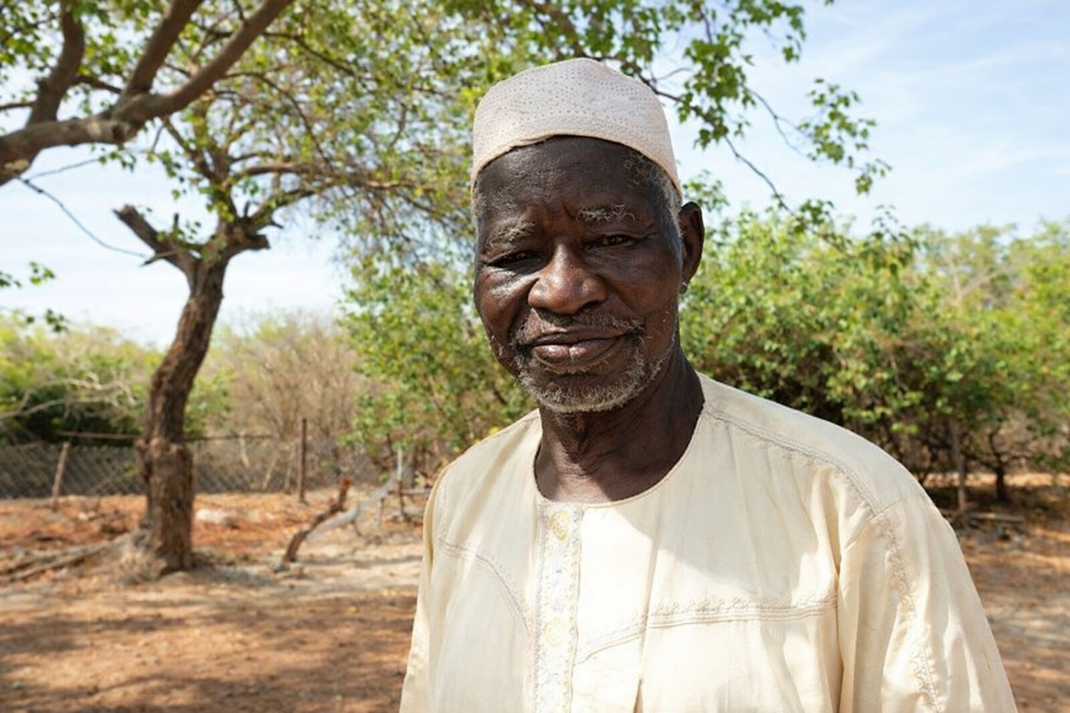 Agricultor transforma deserto em floresta no Sahel