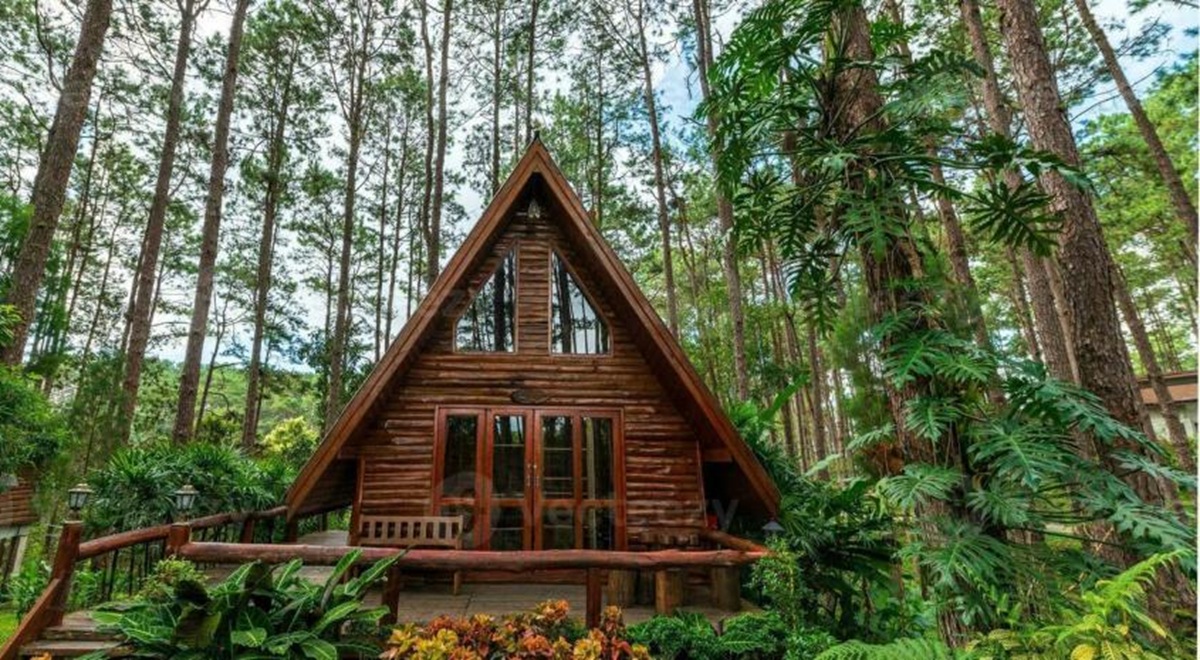 Homem constrói casa de madeira usando madeira, pedra e telhado coberto de terra; projeto ecológico foi registrado em vídeo no canal Woods Improvisation.