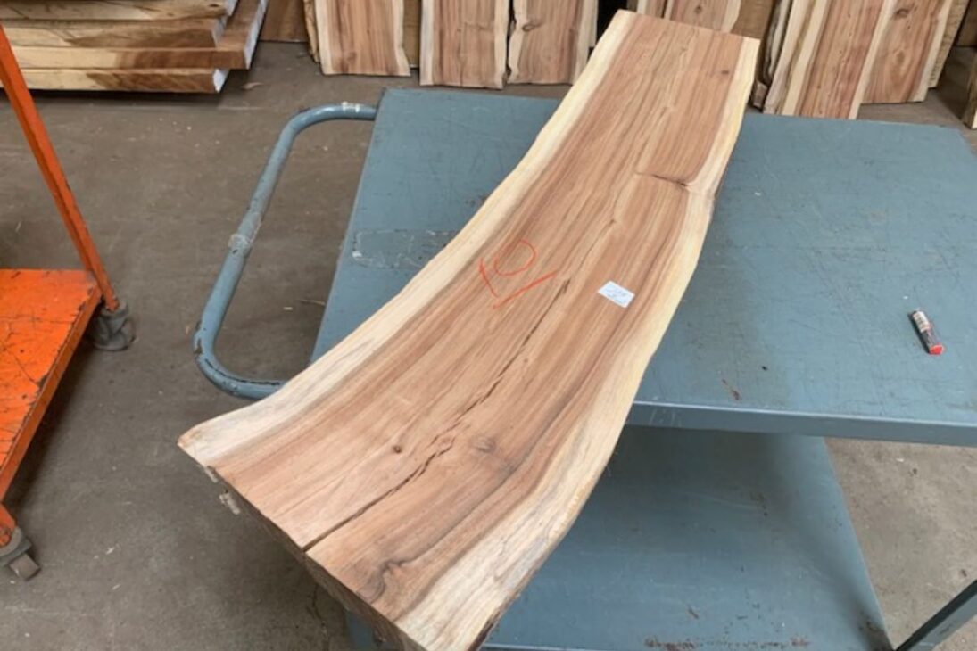 La acacia negra une madera, suelo, nitrógeno y resistencia en especie que casi desapareció del mercado a pesar de la durabilidad rara.