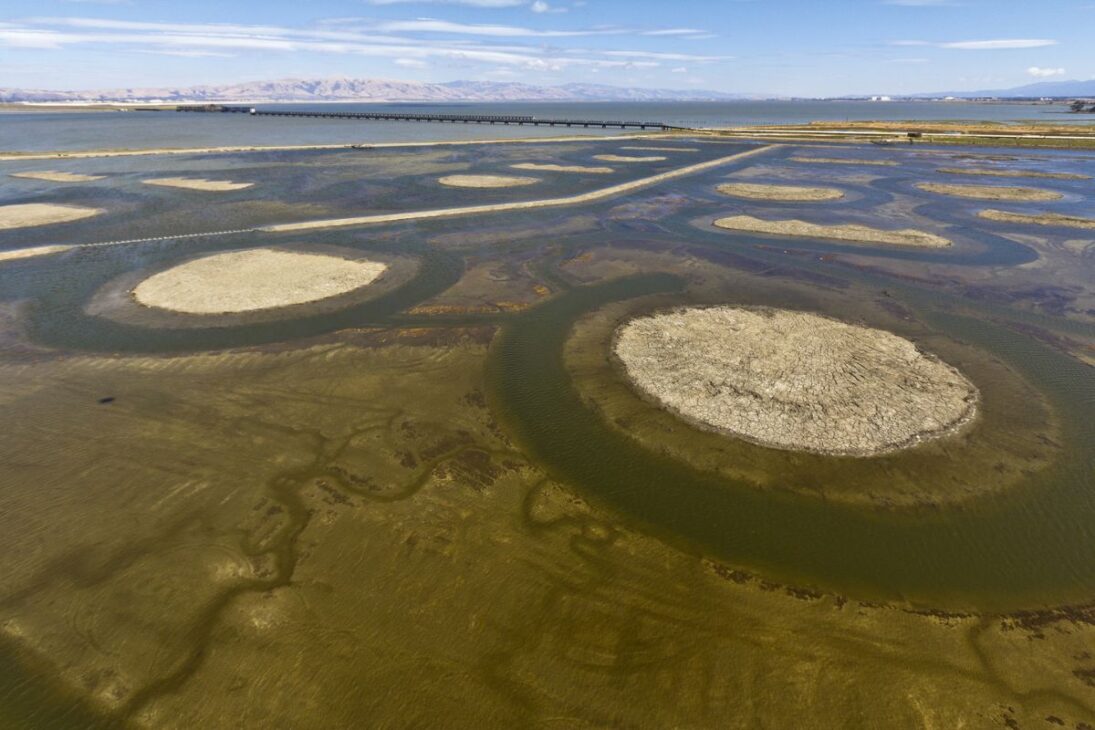 California convierte antiguas salinas de la Bahía de San Francisco en áreas húmedas para contener inundaciones y responder a la elevación del mar con una defensa costera a largo plazo.