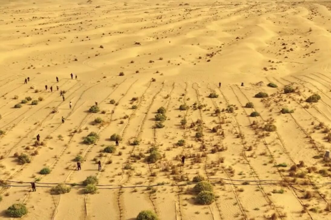Valle desértico recupera agua de lluvia, regenera suelo y reactiva ecosistema en área seca de Arabia Saudita.