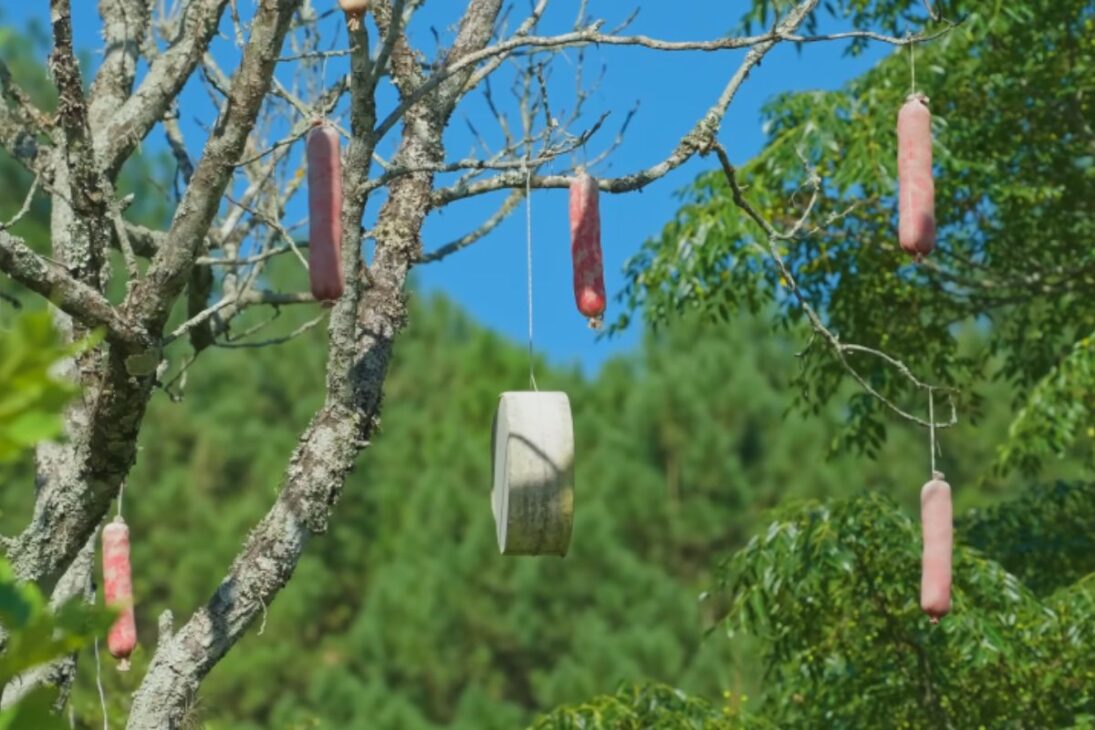 Casca revela villas históricas, inmigración, agro y vínculo con el Miura en un recorrido que muestra por qué la ciudad gaucha sorprende tanto.