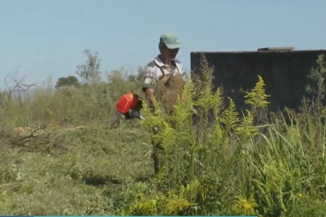 La limpieza de terrenos con aplicación de limpieza de terrenos para lotes baldíos genera ingresos extra a pequeños trabajadores.