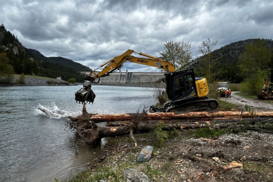 Ingenieros de EE. UU. Usan Madera en el Río Kootenai Bajo la Represa de Libby para Intentar Restaurar el Flujo Perdido