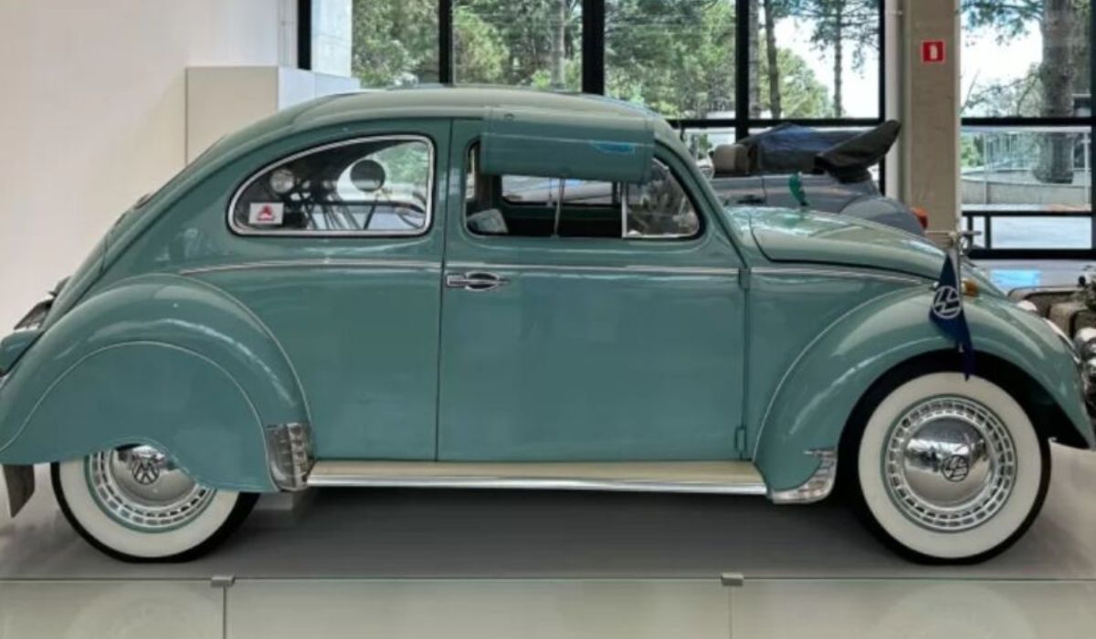 (Imagen: Imagen/Carde)