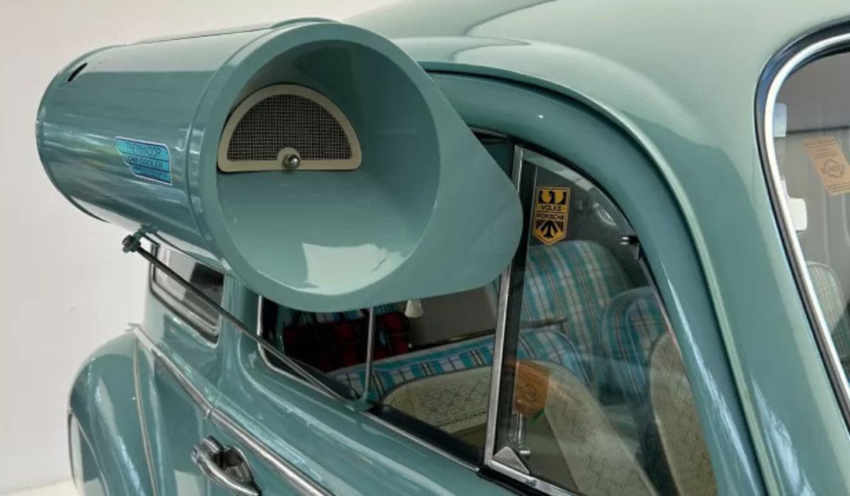 (Imagen: Imagen/Carde)