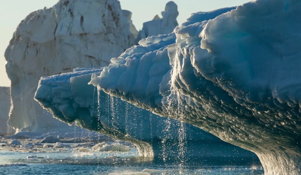 (Imagen: Paul Souders/Getty Images)