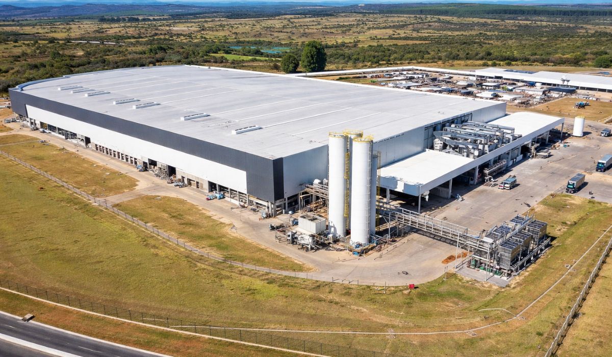 (Imagen: Ilustración/I.A)