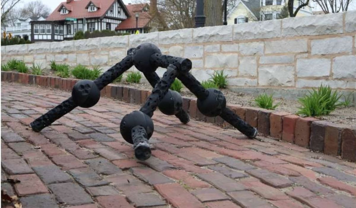 (Imagen: Sam Kriegman/Northwestern University)