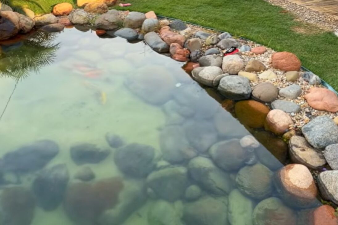 Dono de chácara revela a realidade de ter um lago em casa após 2 anos, mostrando custos escondidos, manutenção mensal, conta de energia, troca de equipamentos