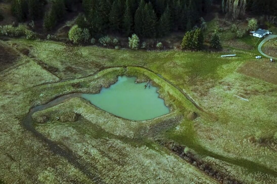 el lago artificial se convierte en reservorio con arcilla, desagüe y manantial y rehidrata la granja, superando fallas de obra y suelo.