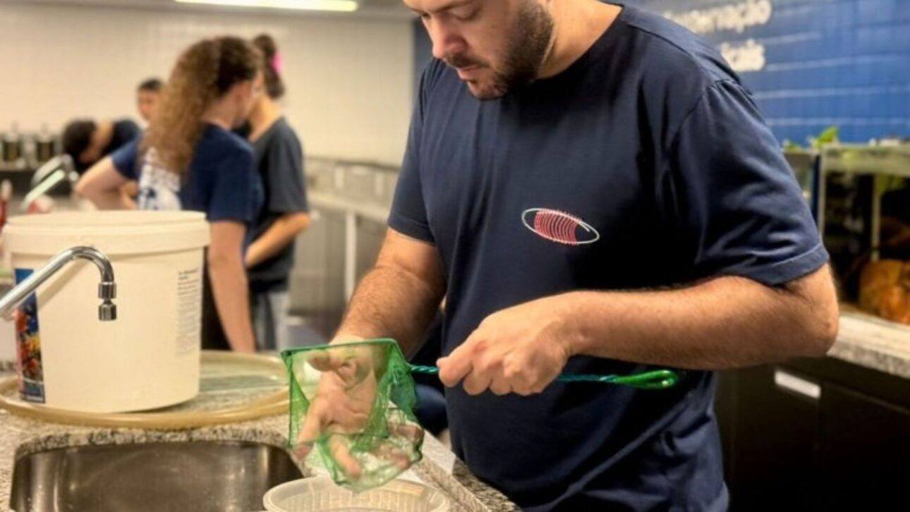 Bioparque Pantanal alcanza 100 especies reproducidas con 95% de reproducción natural y amplía la conservación de la biodiversidad acuática en el mayor acuario de agua dulce del mundo. Fotos: Lara Miranda/Bioparque Pantanal