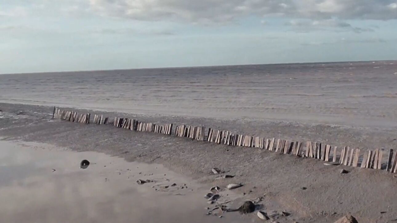 Surinam usa diques permeáveis para conter erosão costeira, recuperar manguezais e reduzir perda de até 27 metros de terra por ano.