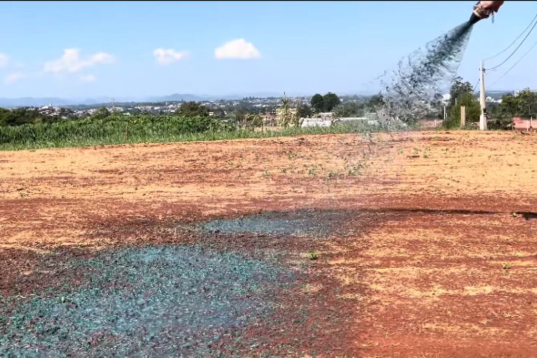 La grama líquida con hidrosemeadura cuesta menos que la leiva y facilita taludes y terrenos inclinados con una cobertura verde más práctica.