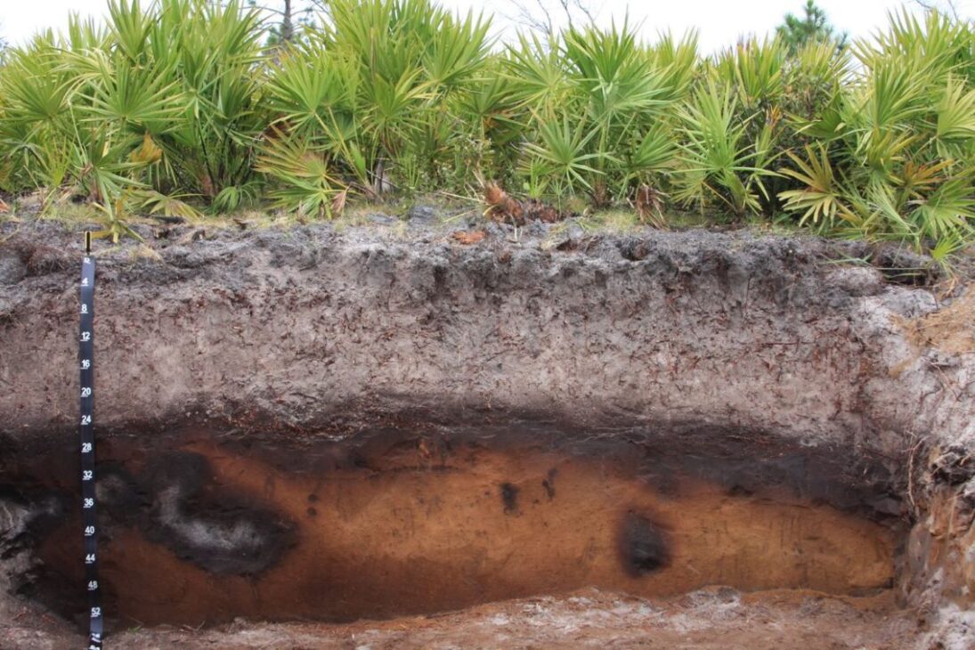 Florida se hunde lentamente sobre caliza, forma dolinas, mantiene miles de lagos y convive con un nivel freático alto que altera suelo, barrios y ecosistemas.